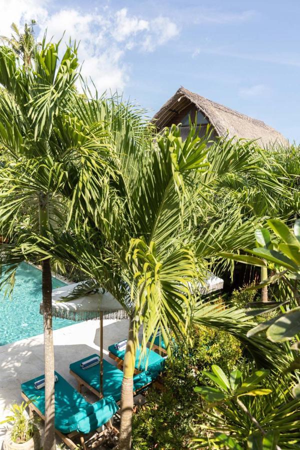 Tigerlillys Boutique Hotel 蓝梦岛 外观 照片